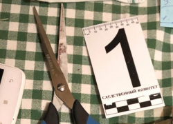 Женщина убила сожителя ножницами за прием наркотиков в Воронеже 