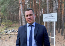 Депутат Артем Рымарь потребовал от природоохранной прокуратуры разобраться с вырубкой Северного леса  