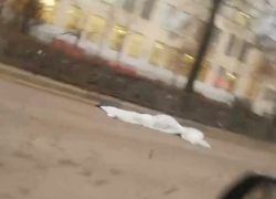 Микроавтобус насмерть сбил человека в центре Воронежа 