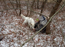 Ушел за ёлкой и не вернулся: воронежца нашли в лесу с сильным переохлаждением
