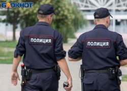  Как наказали воронежца, напавшего на двух сотрудников полиции, рассказали в СК 
