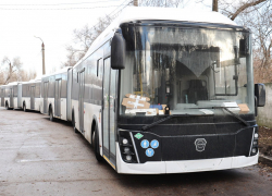 Стало известно, на какие маршруты выйдут автобусы-гармошки в Воронеже
