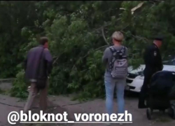 Дерево разворотило машину в центре Воронежа 
