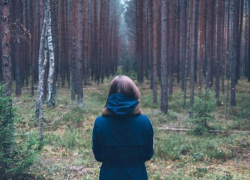 В лесу под Воронежем нашли потерявшихся девушек-грибников