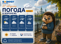 Утепляемся: прогноз погоды в Воронеже