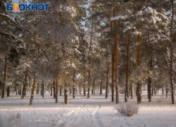 Воронежцев предупредили о бродячем эксгибиционисте-педофиле в центре города
