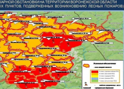 “Помните огненные уроки”: о чрезвычайной степени пожарной опасности предупредили воронежцев