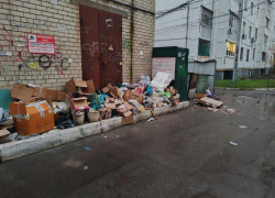  Лень дойти до мусорки – воронежцы закидали отходами электроподстанцию