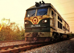 В Воронежской области грузовой поезд переехал женщину