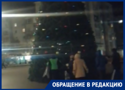 Срывающих с елки игрушки пенсионеров сняли под Воронежем 