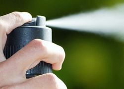 Воронежец в ссоре с продавщицей распылил перцовый баллончик в магазине