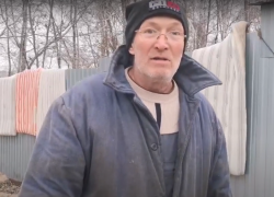 Опубликовано видео с места расстрела собак в воронежском приюте