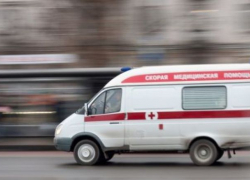 Под Воронежем парню проломили голову монтировкой за сбитую насмерть собаку