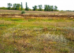 20-летняя студентка стала жертвой группового убийства в Воронежской области