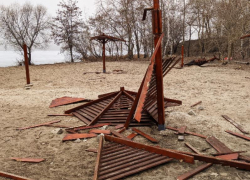 Деревянные грибки воронежского парка «Дельфин» горожане "пустили на шашлык" 