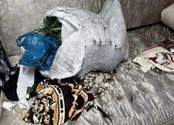 Килограмм марихуаны прятал мужчина в Воронежской области 	