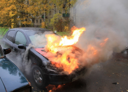 Воронежские полицейские помогли автоледи потушить машину 