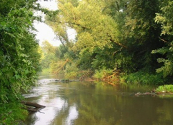 Воронежские спасатели достали из реки тело 34-летнего мужчины