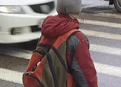 Сбившего 9-летнего мальчика водителя ищут в Воронеже