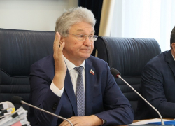 Борьба за воронежскую турбазу «Росинка» вступила в решающую фазу