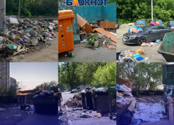 «Крик души, отчаяния и непонимания»: одна уборка в неделю, крысиные ямы и машина под слоем отходов - свежие мусорные хроники Воронежа