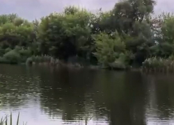 Осушение многострадального воронежского озера попало на видео