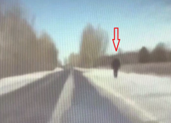 Взволнованный мужчина привлек внимание полиции в Воронежской области 