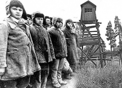 Воронежские депутаты одобрили оказание федеральной поддержки жертвам репрессий