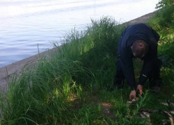 Человеческую ногу выловили из Воронежского водохранилища