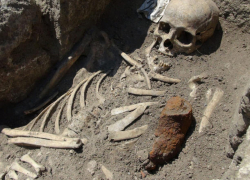 Прохожие нашли в Воронеже мешок с человеческими останками