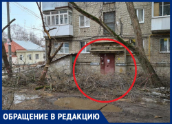 В Воронеже вход в подъезд завалили ветками