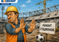 Строителям не интересен ремонт воронежских стадионов?