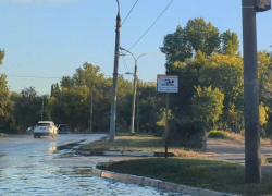 Воронежцам запретили купаться в огромной луже 