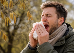 Аллергикам приготовиться: в Воронежской области начала бурно цвести береза