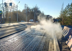 Полсотни деревьев вырубили ради проезда от Остужевской развязки в Воронеже