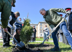 У Михайловского кадетского корпуса появилась Аллея героев 