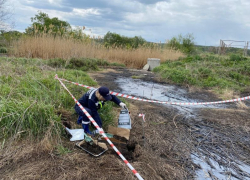 Ущерб почвам почти на 2 млн рублей нанесло воронежское предприятие