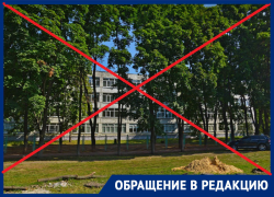 Родители просят закрыть школу на ковидный карантин из-за массовой заболеваемости учеников