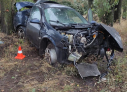 Последствия столкновения Nissan с деревом показали на фото в Воронеже 