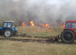 В Воронежской области едва не сгорел целый лес из-за пожара на пустыре