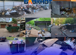 «Как о стенку горох»: свалка длиной 10 метров, хронический бардак на Пушкинской и мусор, поглотивший контейнеры на Красных Зорь