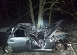Столкновение с деревом унесло жизнь 18-летнего подростка в Воронежской области