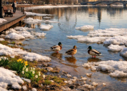 Юго-западный циклон вернет потепление в Воронежскую область 