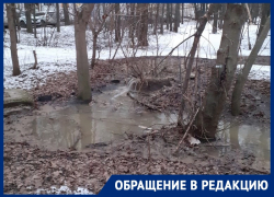 Канализационные реки и водопады заливают воронежскую улицу