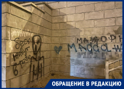 «Запредельное варварство»: воронежцы испортили надписями отремонтированный путепровод на 9 Января
