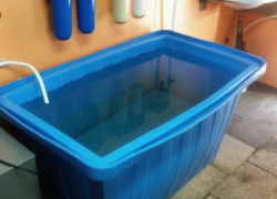 За кражу ванны стоимостью 1000 рублей под Воронежем женщине грозит 4 года колонии