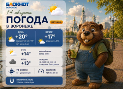 Жара ушла, а солнце осталось: прогноз погоды в Воронеже