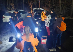 21 человек пропал за неделю в Воронежской области