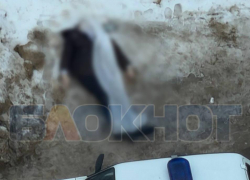 Труп на остановке сняли очевидцы в центре Воронежа