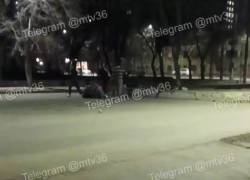 «Спокойно сидели и понеслось»: потасовка на глазах у прохожих произошла в Воронеже